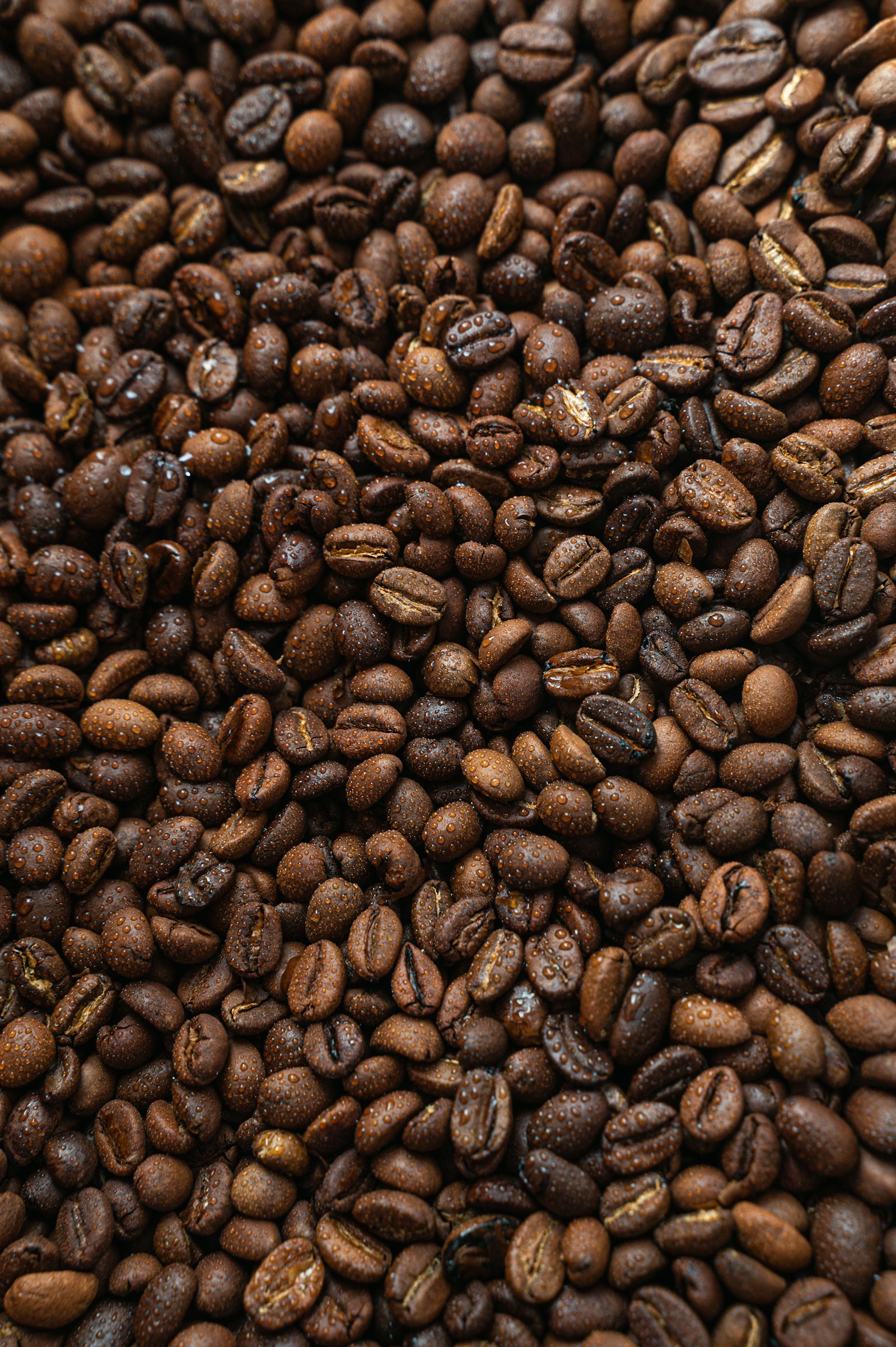 Close-up of roasted coffee beans
